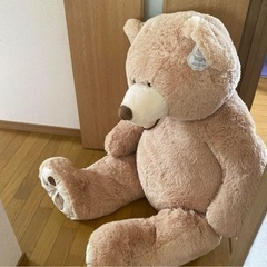 くまぬいぐるみ　コストコ