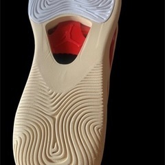 (本文必読
)ジョーダン  テイタム  未使用品28cmの画像