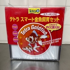 【水槽☀︎グッピー☀︎石巻貝☀︎水草の込み込みフルセット】限定1...