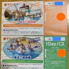 【安心決済可能】東京サマーランド1DAYパスチケット