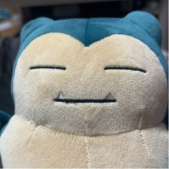 散歩ウォーキング募集
