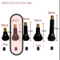 新品　Schrader製 4個セット　タイヤ　スナップインバルブ　TR413 自動車　バイク  の画像