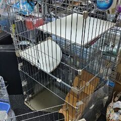 【急募】キャットケージ（キャットゲージ）　アイリスオーヤマIRISOHYAMA猫catの画像