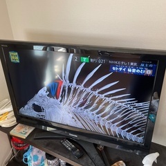 REGZAテレビ