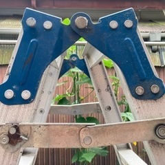 はしご兼用脚立の画像
