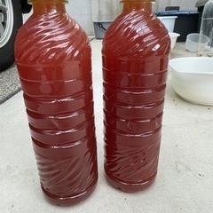 PSB   光合成細菌　培養液