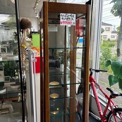 カンディハウス キュリオケース ガラスケース コレクションケース シンプル おしゃれ ナチュラル インテリア スリム 収納
