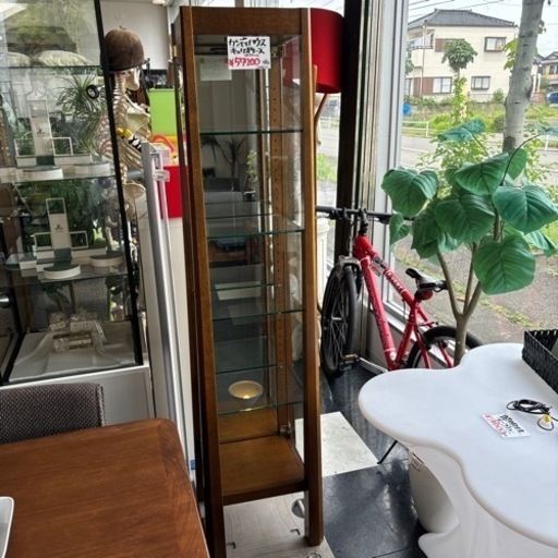 カンディハウス キュリオケース ガラスケース コレクションケース シンプル おしゃれ ナチュラル インテリア スリム 収納