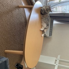 無印のこたつ・美品です