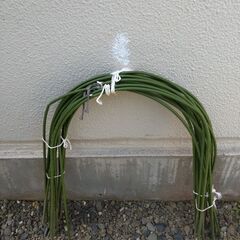 園芸支柱　