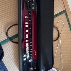 ※お値引き可能※大正琴