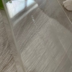 水耕栽培 トレー 大和プラスチック 猫草の画像