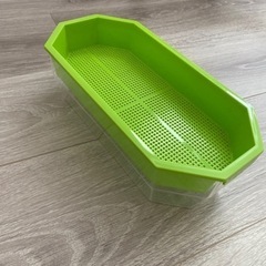 水耕栽培 トレー 大和プラスチック 猫草