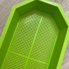 水耕栽培 トレー 大和プラスチック 猫草の画像