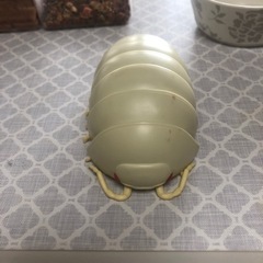 ガチャガチャ景品　ダンゴムシ　アルビノ　希少です