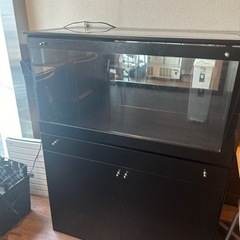 ショーケース　収納家具の画像