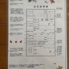 familiar ファミリア　出生届