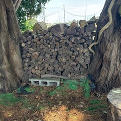 広葉樹薪、カシ、クヌギ、サクラ、キンモクセイ、梨の画像