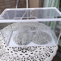 特大‼️✨水槽🐬✨の画像