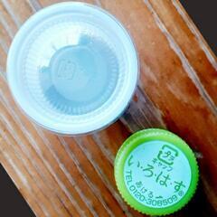 メダカ (深海)《卵》10個の画像