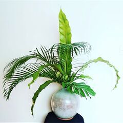 終了しました、ありがとうございました。７/29 募集締切です。　...