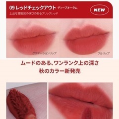 WAKEMAKE WaterBlurringFixingTint09番新品未使用品の画像