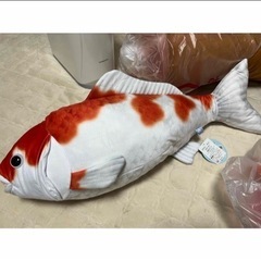 錦鯉　BIGぬいぐるみの画像