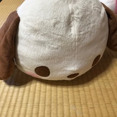 ポチャッコ　ビッグサイズ