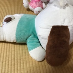 ポチャッコ　ビッグサイズの画像