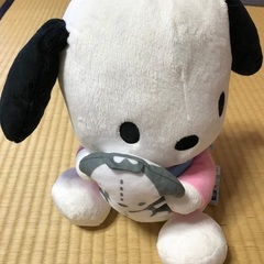 ポチャッコ　美品