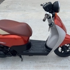 HONDA TODAY スクーター
の画像
