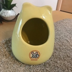 美品　チンチラのお部屋