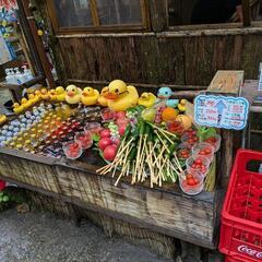 東海地区メンバー募集です(≧∇≦)b