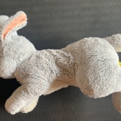サンレモン　うさぎ