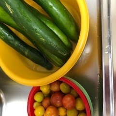 きゅうり　トマト
