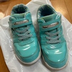 シュンソク21.5cmの画像