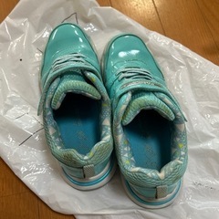 シュンソク21.5cmの画像