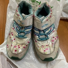 シュンソク23.5cmの画像