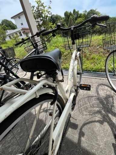 決まりました自転車