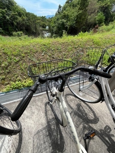 決まりました自転車