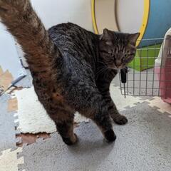 トライアルの為募集停止中♥️甘えん坊ぱいぱいまん