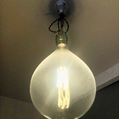 需要がなさそうなので処分します！白熱エジソン型LED電球の画像