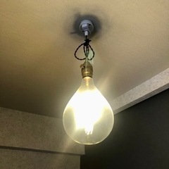 需要がなさそうなので処分します！白熱エジソン型LED電球の画像