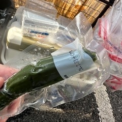 きゅうりの浅漬け1本300円⇨100円