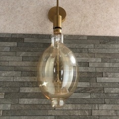 需要がなさそうなので処分します！白熱エジソン型LED電球の画像
