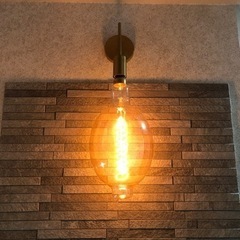 需要がなさそうなので処分します！白熱エジソン型LED電球の画像
