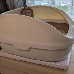 catlog board キャットログボード
