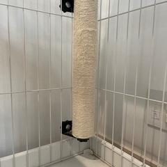 キャットケージ（アイリスオーヤマ）の画像