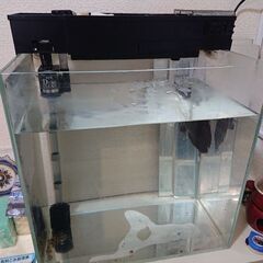 終了／20日16時／水槽