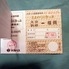 とよのくにきっぷ　大分別府―福岡　高速バス回数乗車券1枚